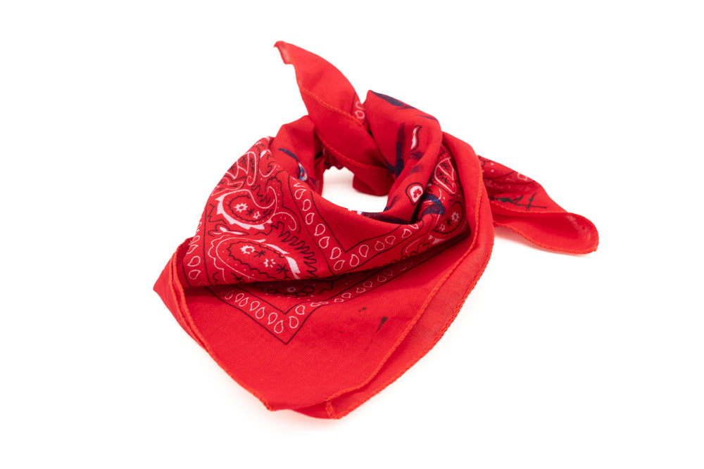 Hand-Painted Bandana