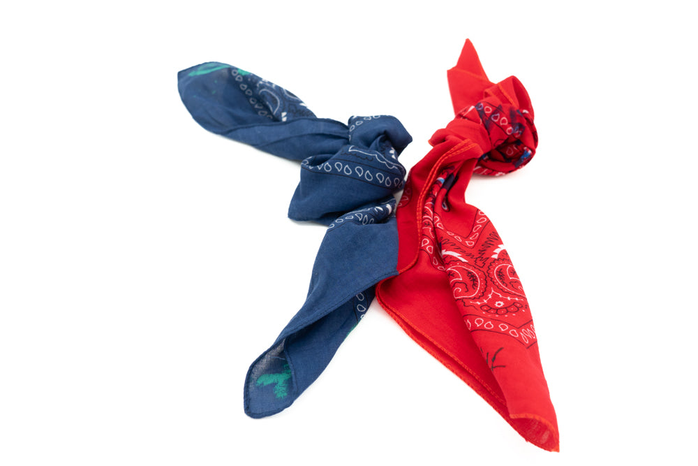 Hand-Painted Bandana